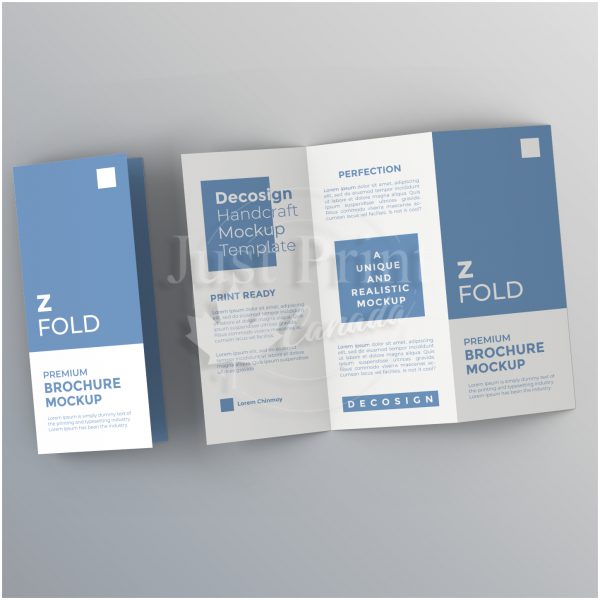 Brochure - Image 4