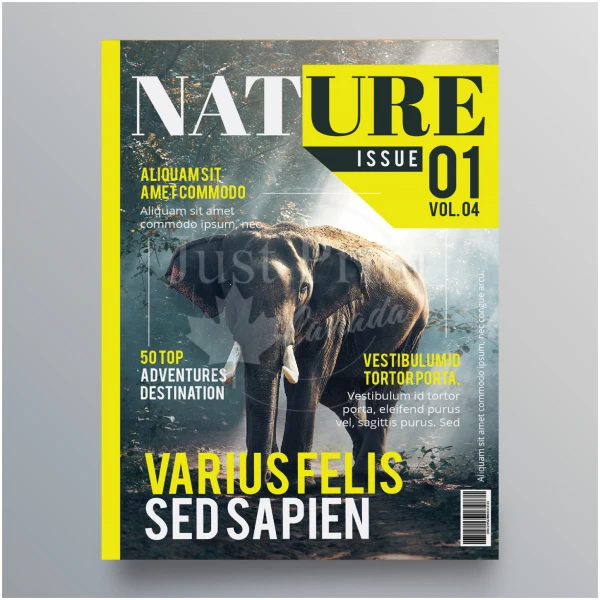 Magazines - Image 2