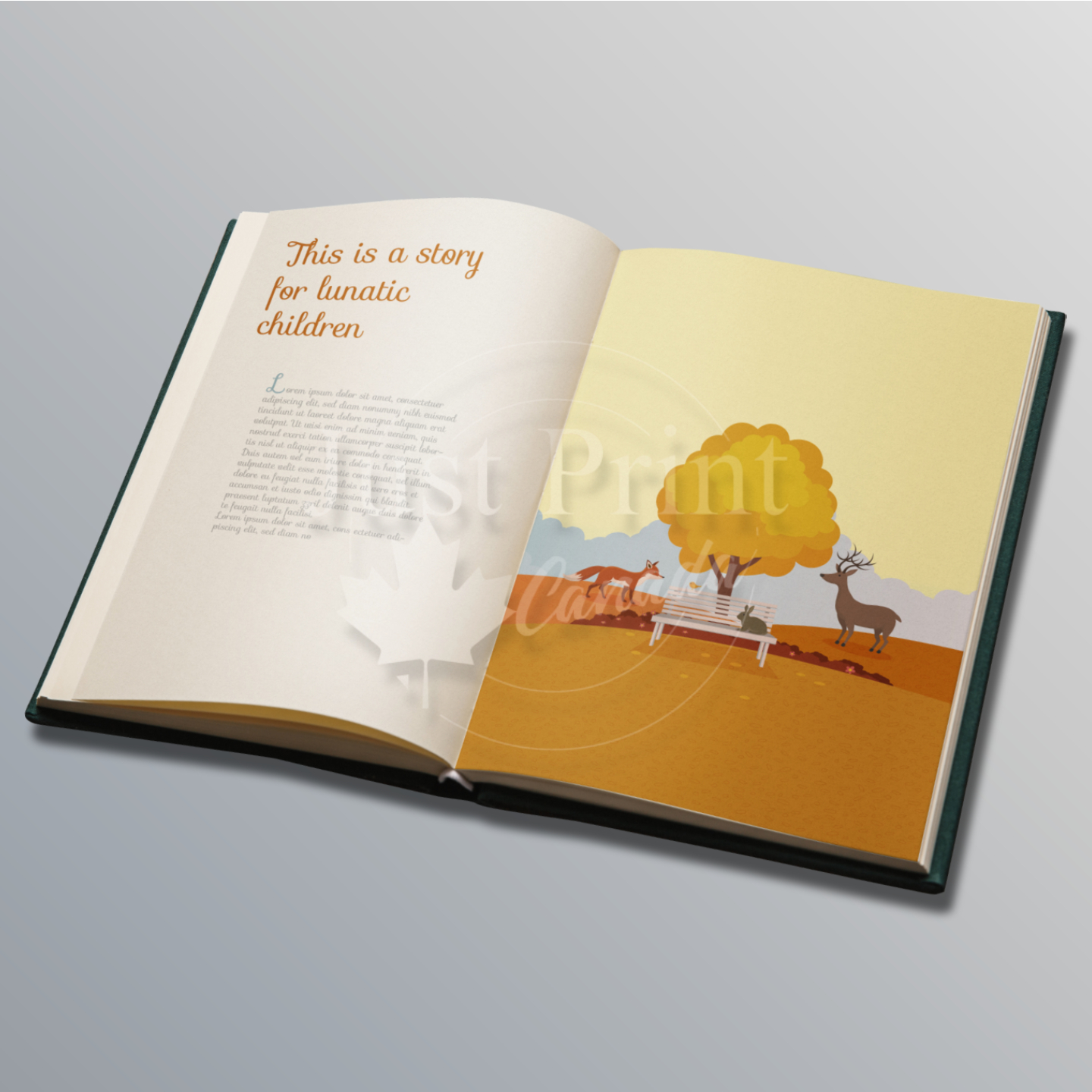 Booklet - Image 2