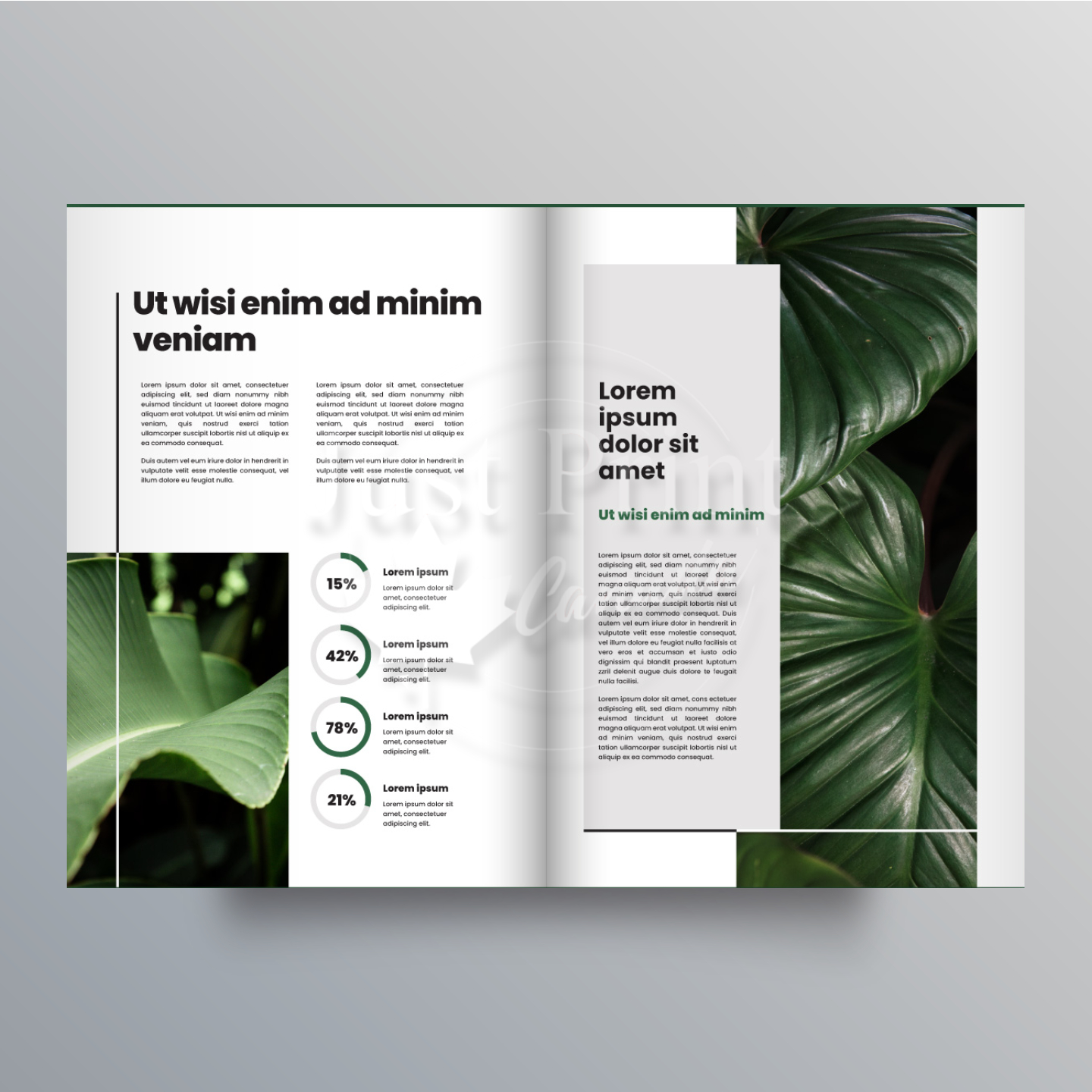 Booklet - Image 4