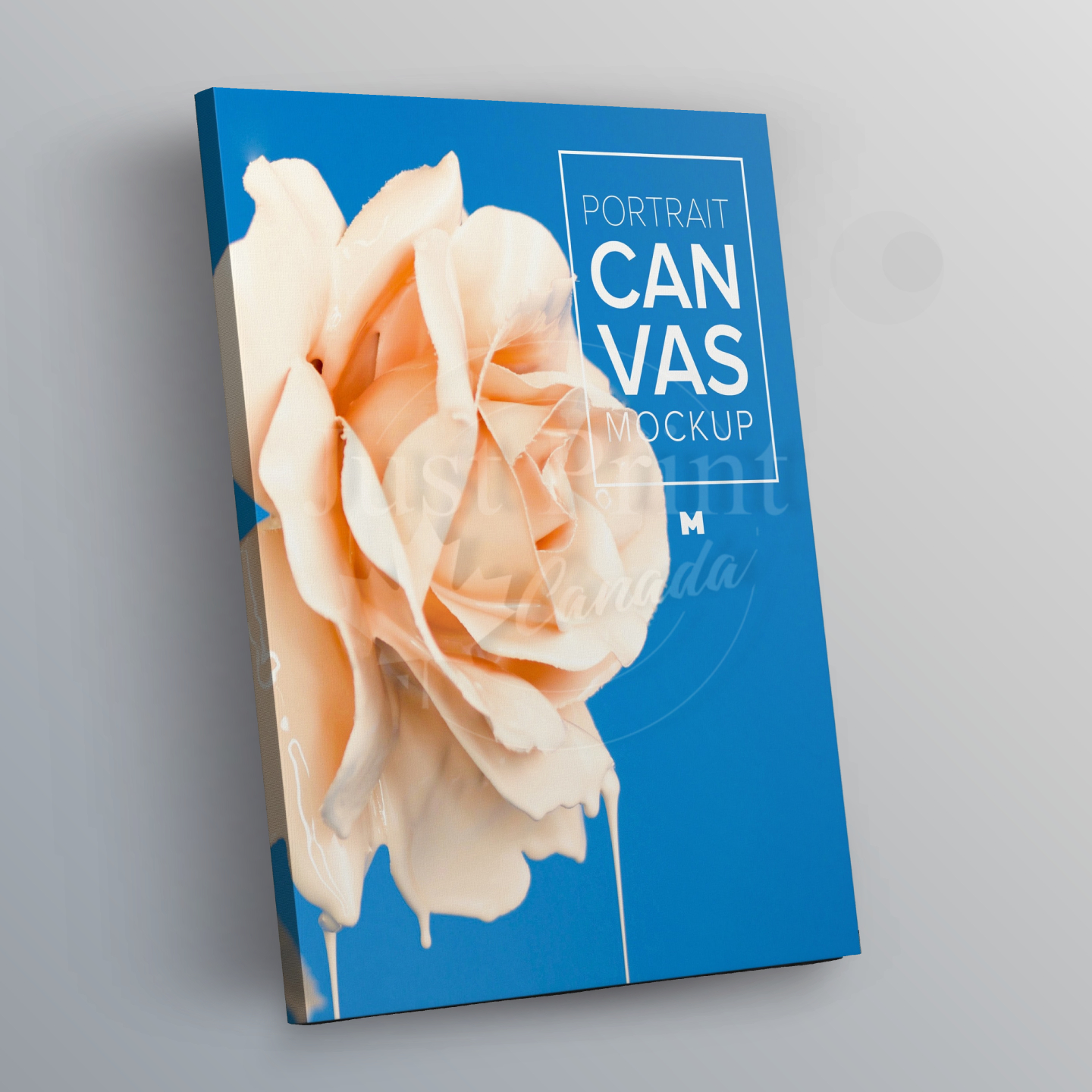 Custom Canvas Print