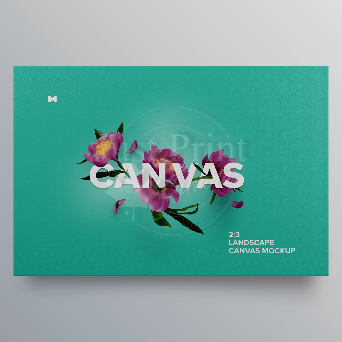 Custom Canvas Print - Image 3