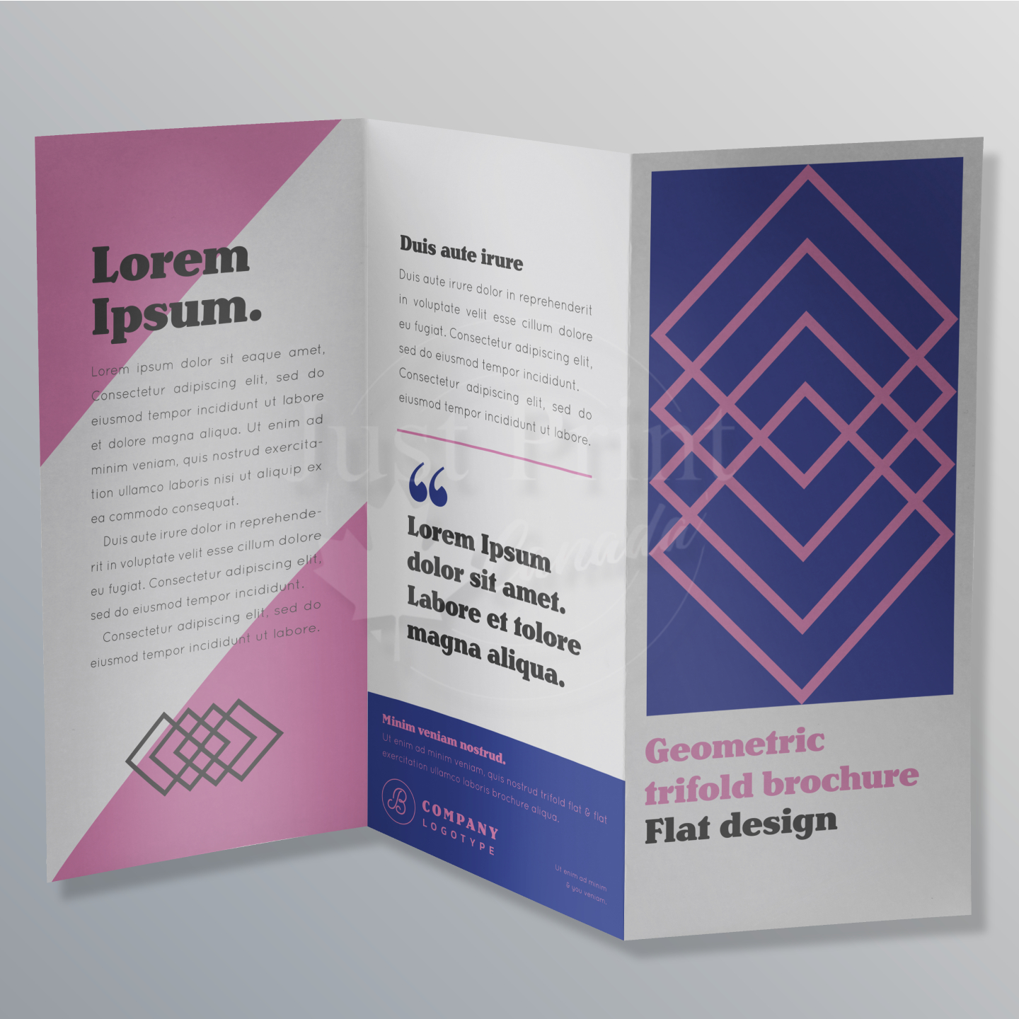 Folded Leaflets - Image 3